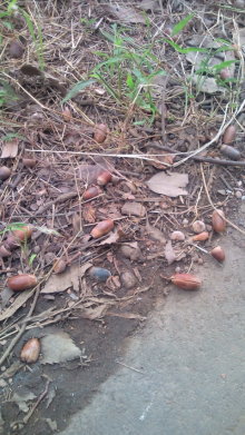 blog_import_54d5f3521c0d7