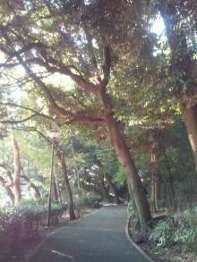 blog_import_54d5f36cbf2ad