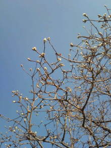 blog_import_54d5f39fb638a