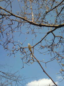 blog_import_54d5f3a0eaba3