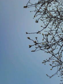 blog_import_54d5f3a6d4e05