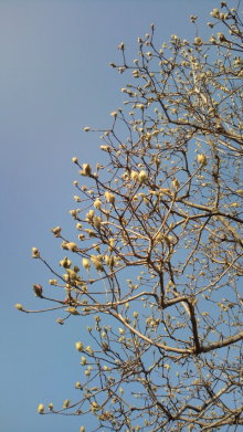 blog_import_54d5f3c1121ac