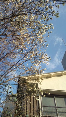 blog_import_54d5f3c22891a