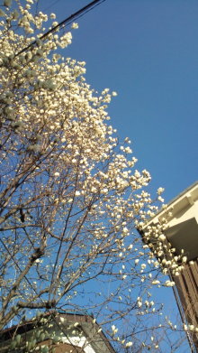 blog_import_54d5f3c50cb80