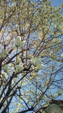 blog_import_54d5f3c8d2744