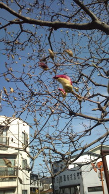 blog_import_54d5f3ca639f9