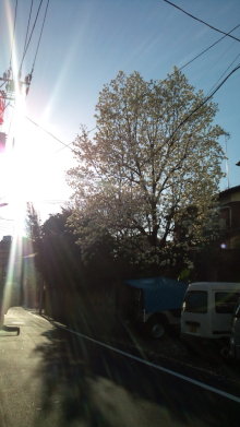 blog_import_54d5f3d209bf0