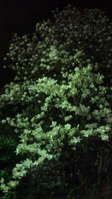 blog_import_54d5f3d8a27ae