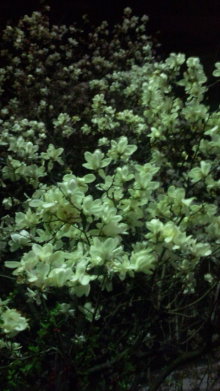 blog_import_54d5f3da1a241