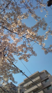 blog_import_54d5f3e19a4ed