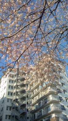 blog_import_54d5f3e39388c