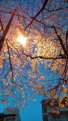 blog_import_54d5f3e52db1e