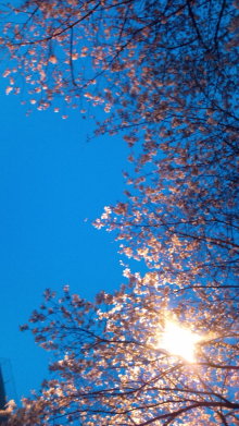 blog_import_54d5f3e695d1e