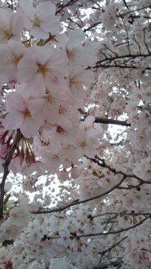 blog_import_54d5f3f111f70