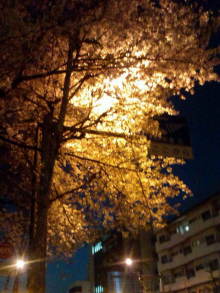 blog_import_54d5f3f50987a