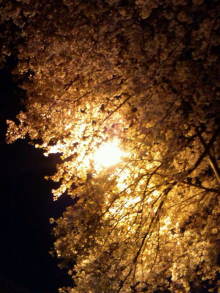 blog_import_54d5f3f65606c