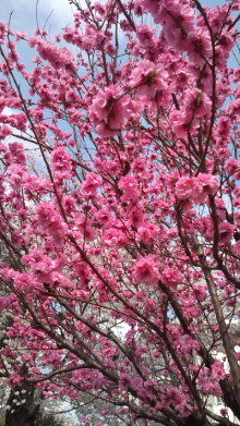 blog_import_54d5f3f93d976