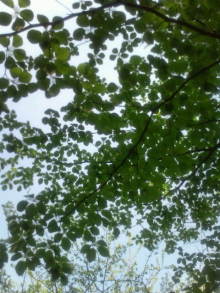 blog_import_54d5f3fed225b