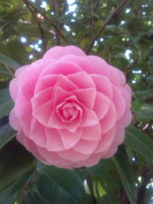 blog_import_54d5f40057887