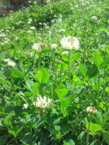 blog_import_54d5f407a8d45