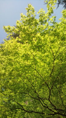 blog_import_54d5f408c9ba1