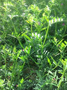 blog_import_54d5f40a44bb5