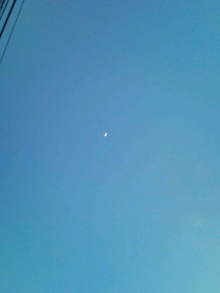 blog_import_54d5f4200300f