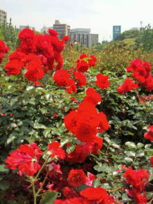 blog_import_54d5f43c0e4cc