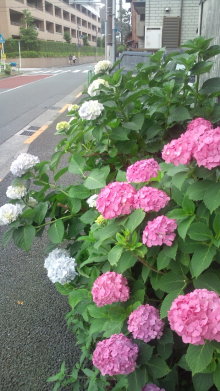 blog_import_54d5f4615aeda