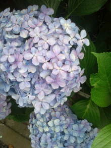 blog_import_54d5f462ae3f1