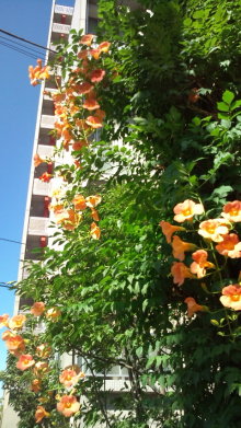 blog_import_54d5f47b0a9b2