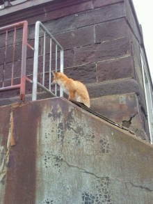 blog_import_54d5f492e174f