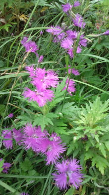 blog_import_54d5f49f38940