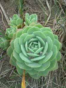 blog_import_54d5f4a7628f2