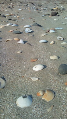 blog_import_54d5f4ac6311d