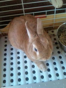 blog_import_54d5f4e8d1015