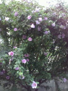 blog_import_54d5f4ee6c0d4