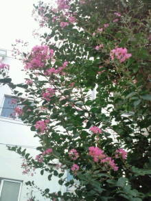 blog_import_54d5f4fe15327