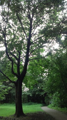 blog_import_54d5f4ffefc01