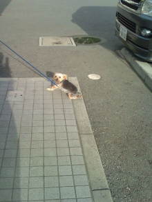 blog_import_54d5f50148f6b