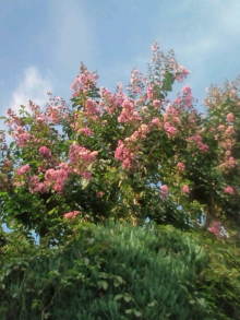 blog_import_54d5f50fae98f