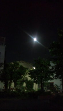 blog_import_54d5f5159e53c