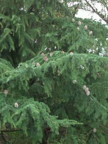 blog_import_54d5f54970d54