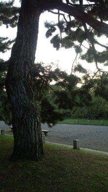 blog_import_54d5f56542553