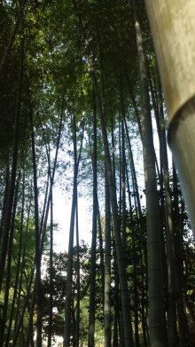 blog_import_54d5f5769f9fe