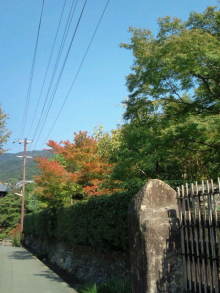 blog_import_54d5f57e7b6e2