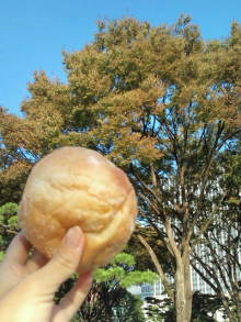 blog_import_54d5f5ae7c80b