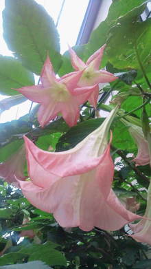 blog_import_54d5f5b3e39a1