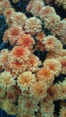 blog_import_54d5f5b651bbe