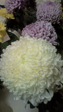 blog_import_54d5f5c21a375